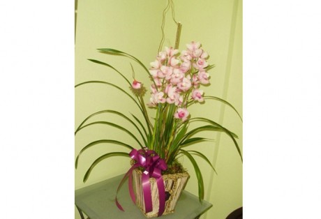 Orquídea Cimbidium
